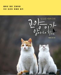 11. 인간은 바쁘니까 고양이가 알아서 할게